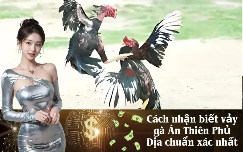 Cách nhận biết vảy gà Án Thiên Phủ Địa chuẩn xác nhất