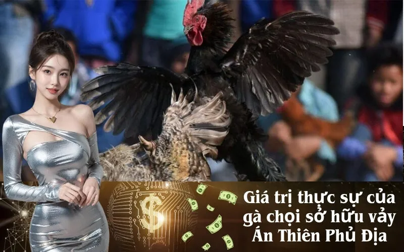 Giá trị thực sự của gà chọi sở hữu vảy Án Thiên Phủ Địa