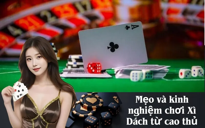 Mẹo và kinh nghiệm chơi Xì Dách từ cao thủ