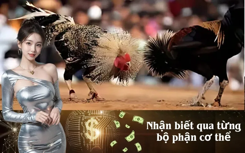 Nhận biết qua từng bộ phận cơ thể