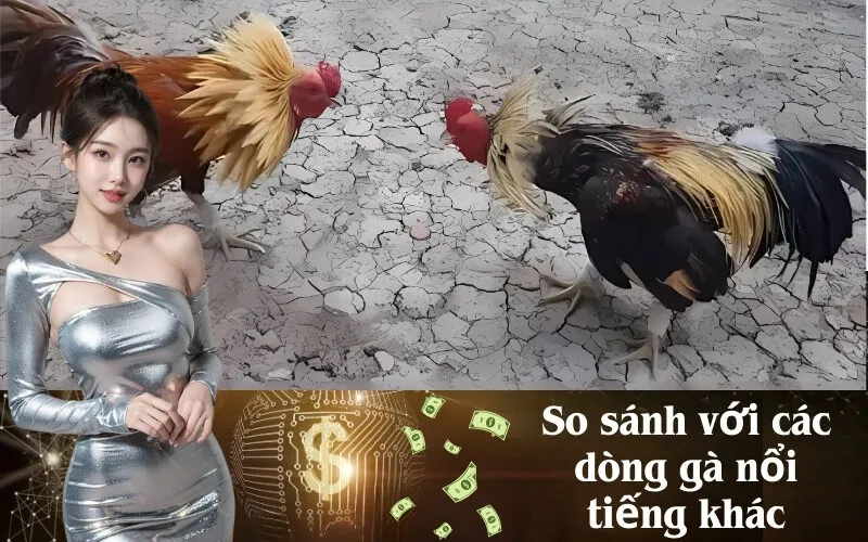 So sánh với các dòng gà nổi tiếng khác