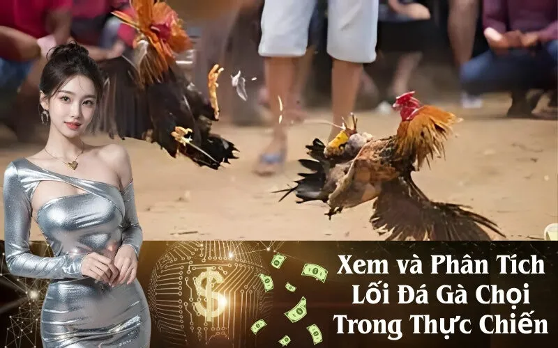 Xem và Phân Tích Lối Đá Gà Chọi Trong Thực Chiến