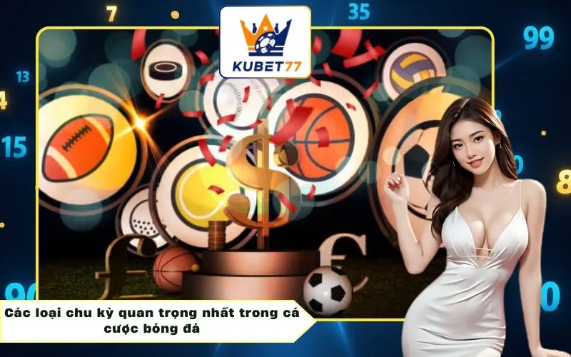 Các loại chu kỳ quan trọng nhất trong cá cược bóng đá